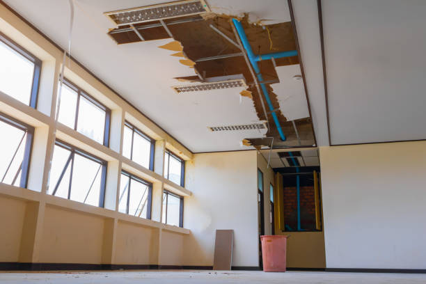 Best Professional water damage repair  in Plant City, FL