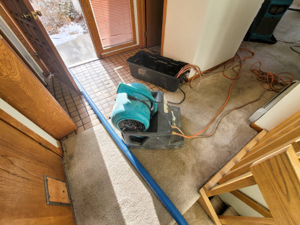 Best Ceiling water damage repair  in Plant City, FL