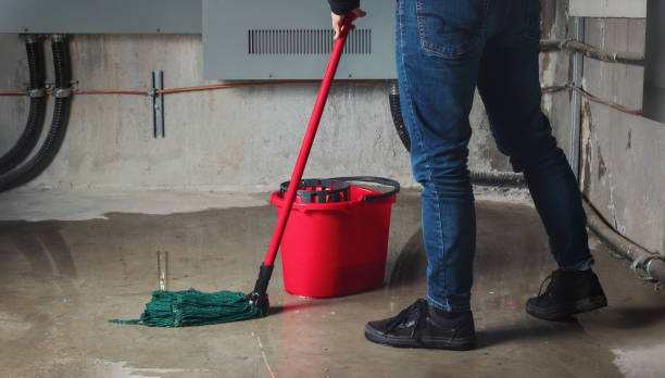 Best Water damage restoration near me  in Plant City, FL