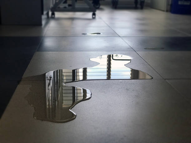 Best 24-hour water damage restoration  in Plant City, FL
