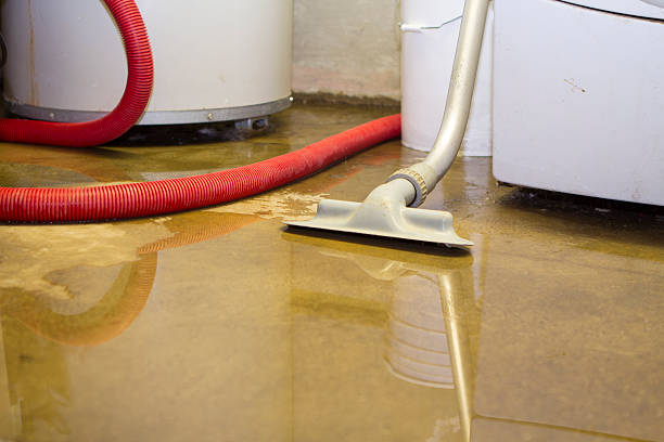 Best Water damage restoration near me  in Plant City, FL