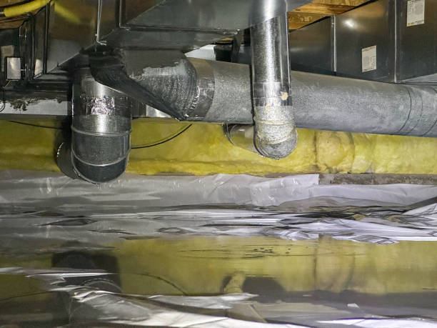 Best 24/7 water damage repair  in Plant City, FL