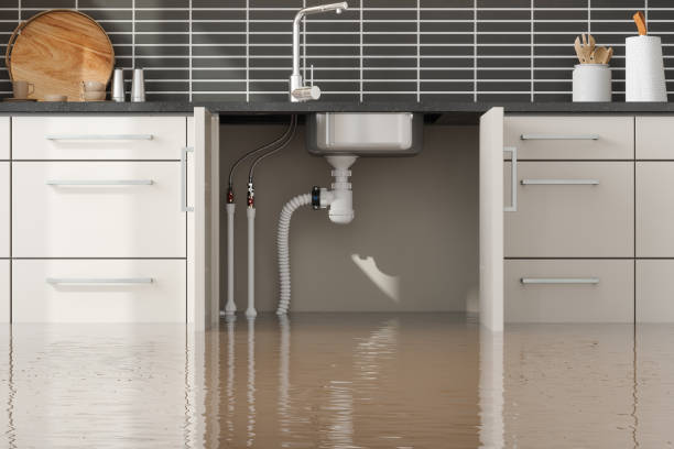 Best Water damage contractors near me  in Plant City, FL