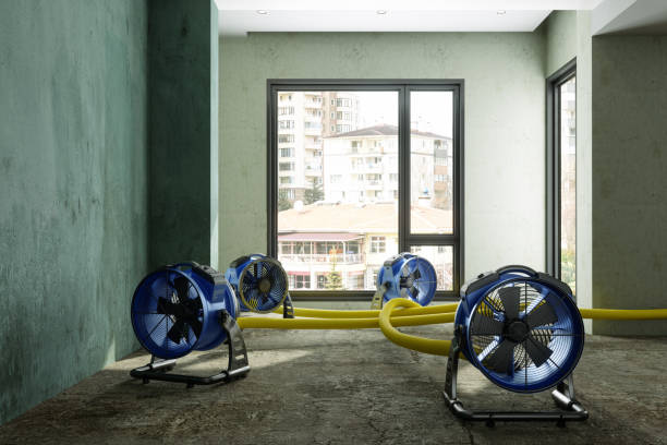 Best Water damage restoration specialists  in Plant City, FL