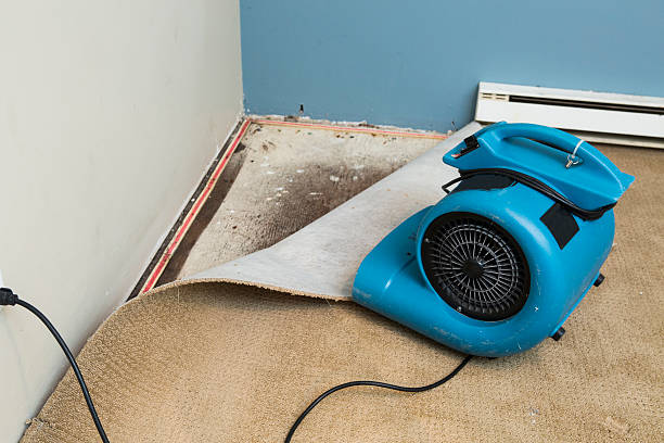 Best Water damage repair service  in Plant City, FL